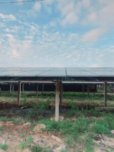 z3357065745951 565bc35b9fd8c6cb93b97e1499609d99