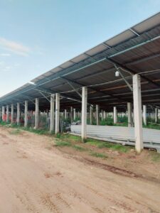 z3357065748420 dc9e09fac0de4dd55ee943c4ba5a1fae